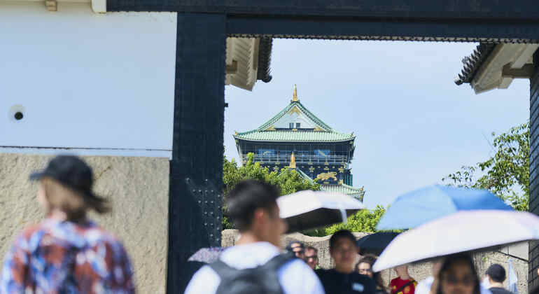Osaka: Visita guiada por la historia del castillo con entrada Japón &mdash; #8