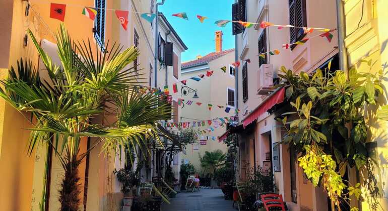 Visita libre a Izola: Un viaje por el pasado y el presente Eslovenia &mdash; #7