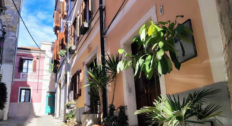 Visita libre a Izola: Un viaje por el pasado y el presente Eslovenia &mdash; #18