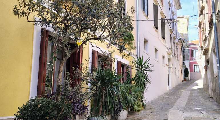 Visita libre a Izola: Un viaje por el pasado y el presente Eslovenia &mdash; #19