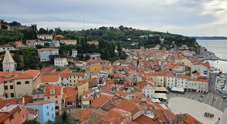 Piran Essentials Free Tour Slovenia &mdash; #12
