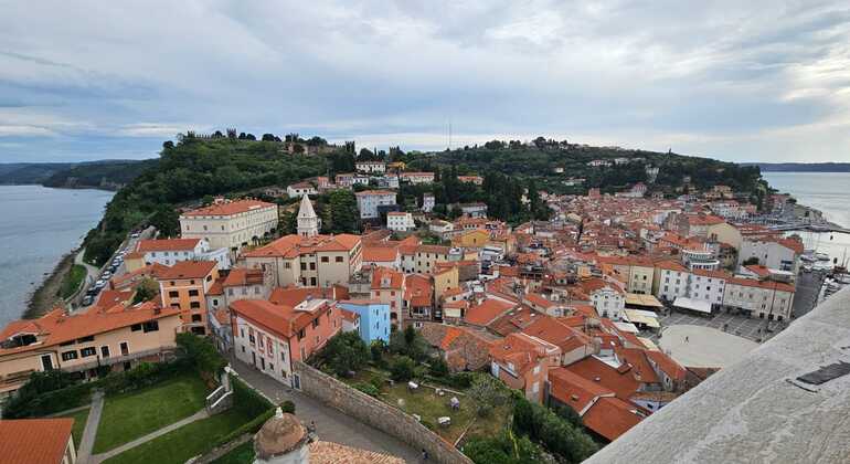 Piran Essentials Free Tour Slovenia &mdash; #14