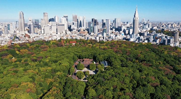 Tokyo: Meiji Shrine Tour: Shinto & Imperial System Provided by Local Guide Stars