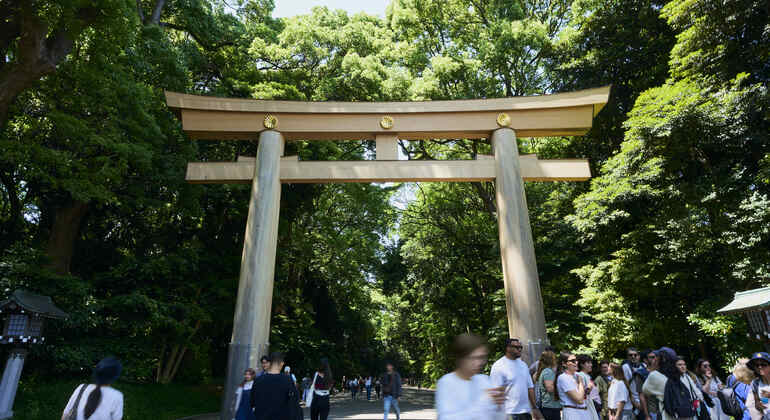 Tokyo: Meiji Shrine Tour: Shinto & Imperial System Japan &mdash; #2