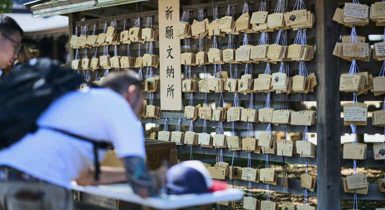 Tokyo: Meiji Shrine Tour: Shinto & Imperial System Japan &mdash; #5