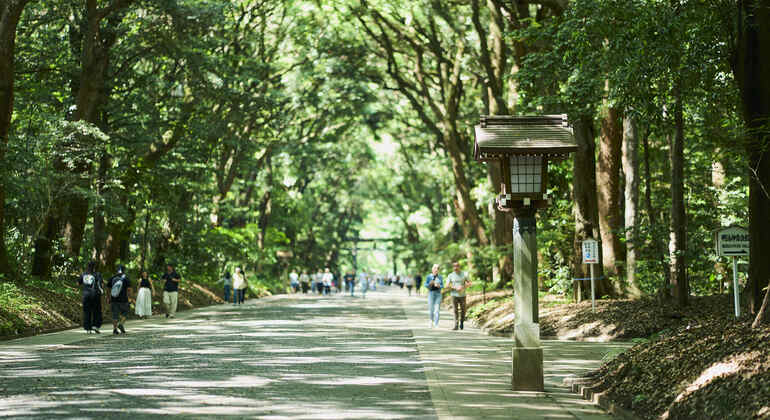 Tokyo: Meiji Shrine Tour: Shinto & Imperial System Japan &mdash; #9