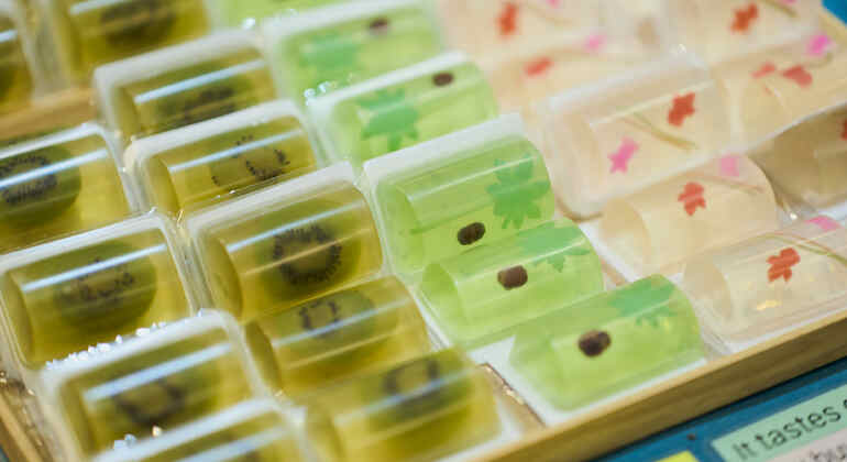 Tokyo: Meiji Shrine Tour: Shinto & Imperial System Japan &mdash; #10