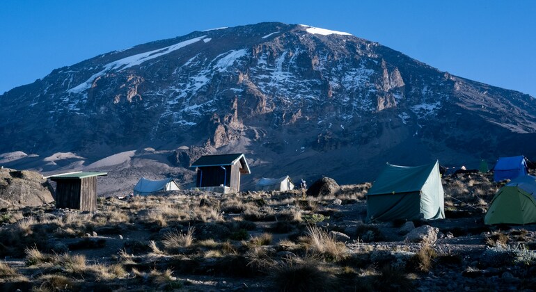 kilimanjaro Free Tour: Explore Moshi Town with Local Provided by John