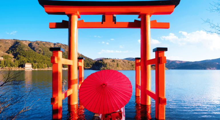 Tokyo: Mt. Fuji Cruise & Hakone Ropeway Day Trip by Bus Japan &mdash; #2