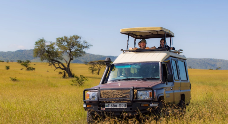 Ngorongoro Crater Day Tour in Karatu
