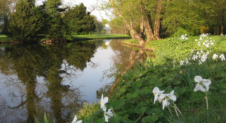 Free Tour: Invitation to the King's Round Table Germany &mdash; #11