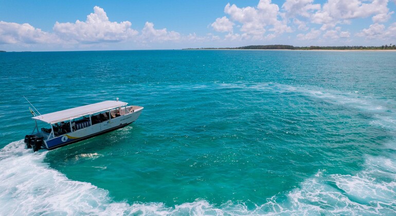 Zanzibar: Cruzeiro panorâmico pela costa de Stone Town e viagem de mergulho com snorkel Tanzânia &mdash; #2