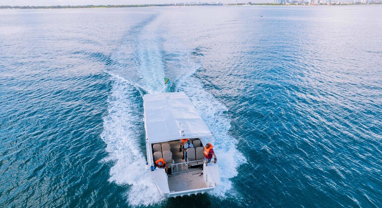 Zanzibar: Cruzeiro panorâmico pela costa de Stone Town e viagem de mergulho com snorkel Tanzânia &mdash; #3