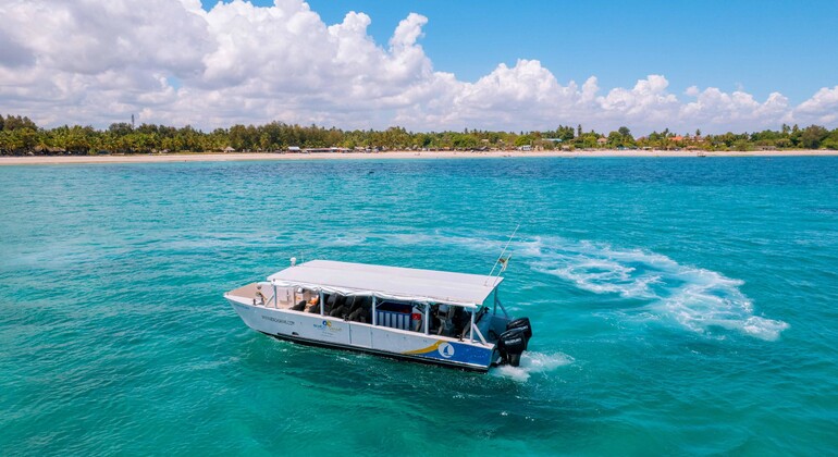 Zanzibar: Cruzeiro panorâmico pela costa de Stone Town e viagem de mergulho com snorkel Tanzânia &mdash; #5