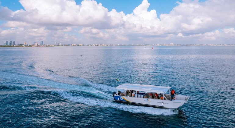 Zanzibar: Cruzeiro panorâmico pela costa de Stone Town e viagem de mergulho com snorkel Tanzânia &mdash; #7