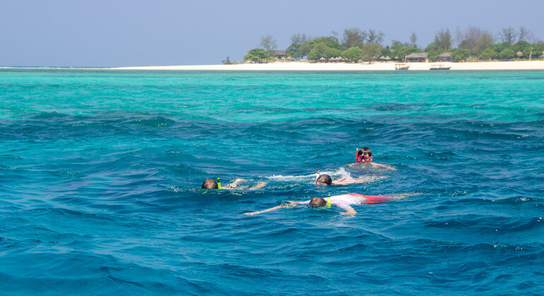 Zanzíbar: Crucero panorámico por la costa de Stone Town y buceo con tubo Tanzania &mdash; #15