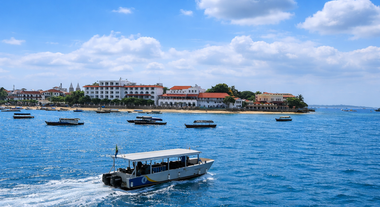 Zanzíbar: Crucero panorámico por la costa de Stone Town y buceo con tubo Tanzania &mdash; #17