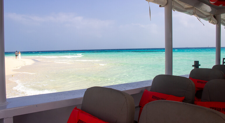 Zanzíbar: Crucero panorámico por la costa de Stone Town y buceo con tubo Tanzania &mdash; #18