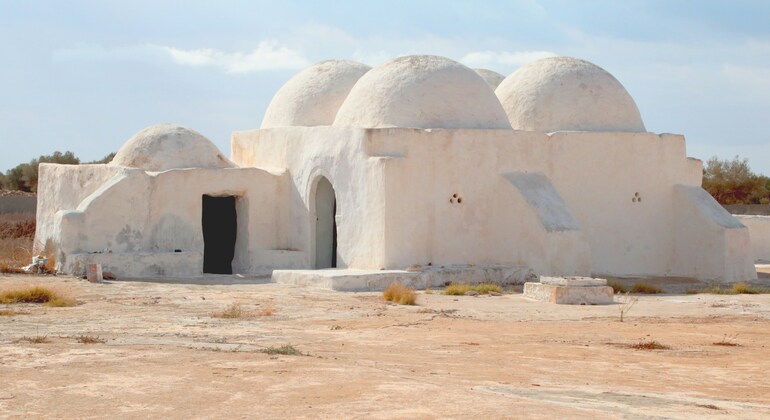 Djerba Express: l'isola essenziale in mezza giornata Fornito da PTS parad'ile travel services