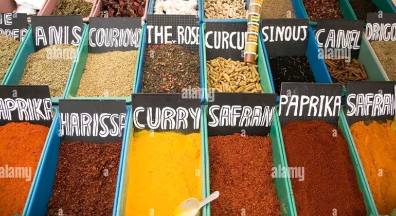 djerba-express-essential-island-es-2