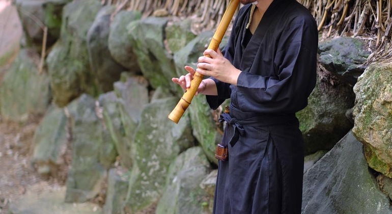 Kyoto: Arashiyama UNESCO Walking Tour with Admission Japan &mdash; #6