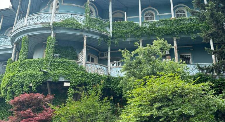 Tour della meravigliosa Tbilisi Georgia &mdash; #8