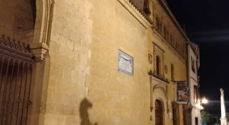 Free Night Tour of Cordoba Provided by Eventour