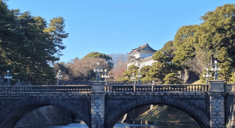 Tokyo WWII Tour: Kamikaze Secrets, Samurai Spirit & The Zero Fighter Japan &mdash; #4