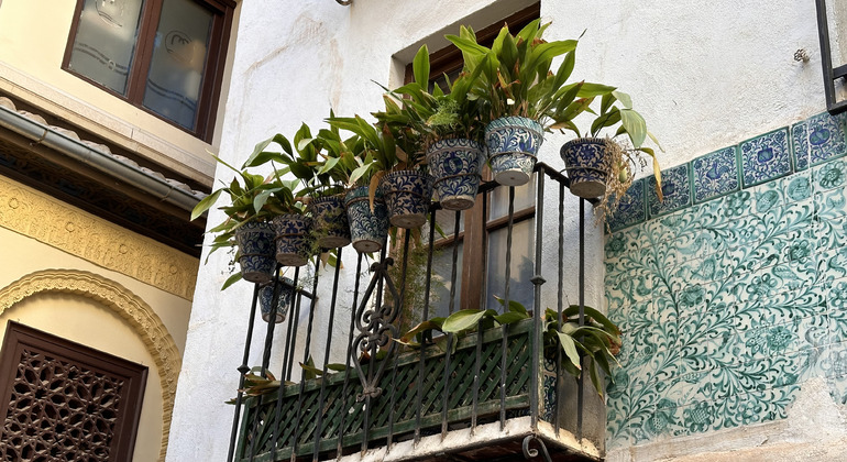 free-tour-historic-center-and-lower-albaicin-en-1