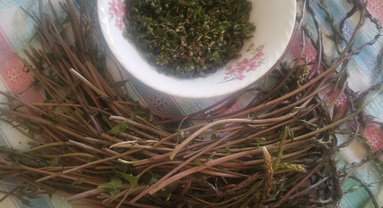 trebizat-exploring-free-tour-en-4