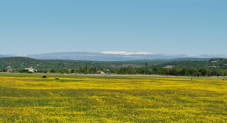 trebizat-exploring-free-tour-en-5