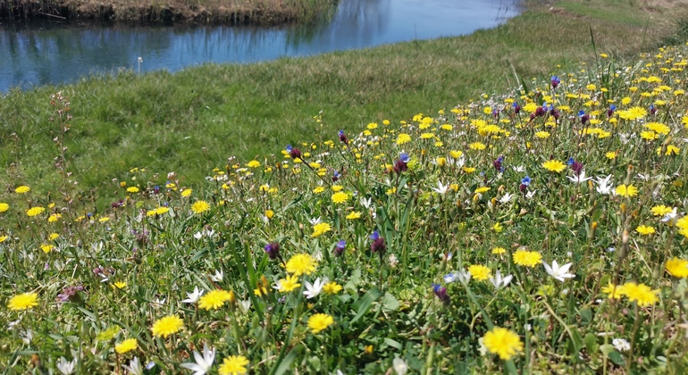 trebizat-exploring-free-tour-en-8