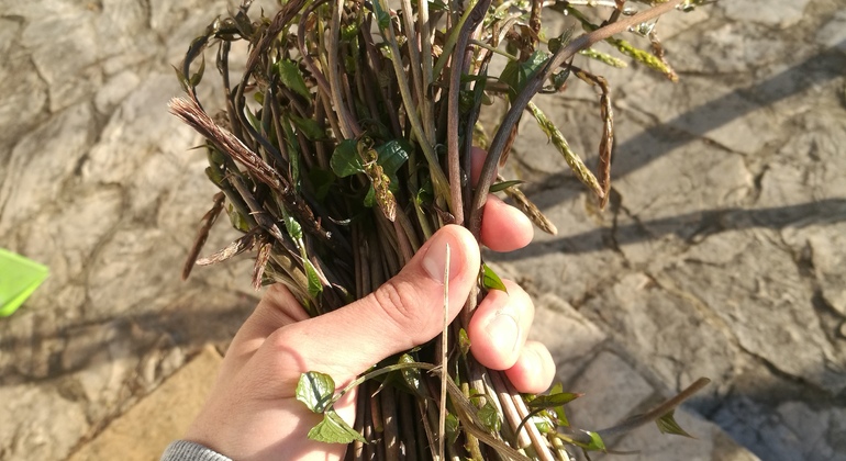 trebizat-exploring-free-tour-en-9