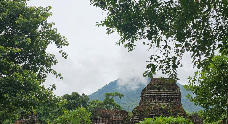 My Son Sanctuary Free Walking Tour: UNESCO Heritage Experience Vietnam &mdash; #6