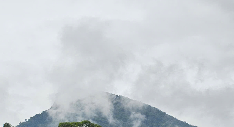 My Son Sanctuary Free Walking Tour: UNESCO Heritage Experience Vietnam &mdash; #9