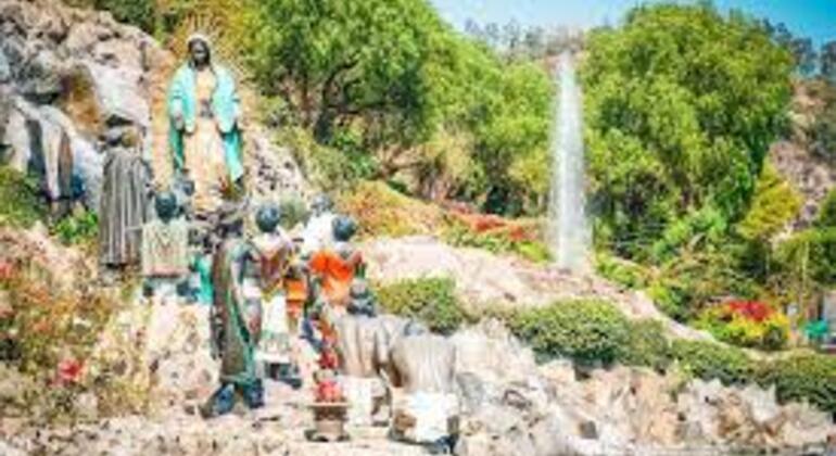 Los secretos de la Basílica  CDMX Free Tour México &mdash; #7