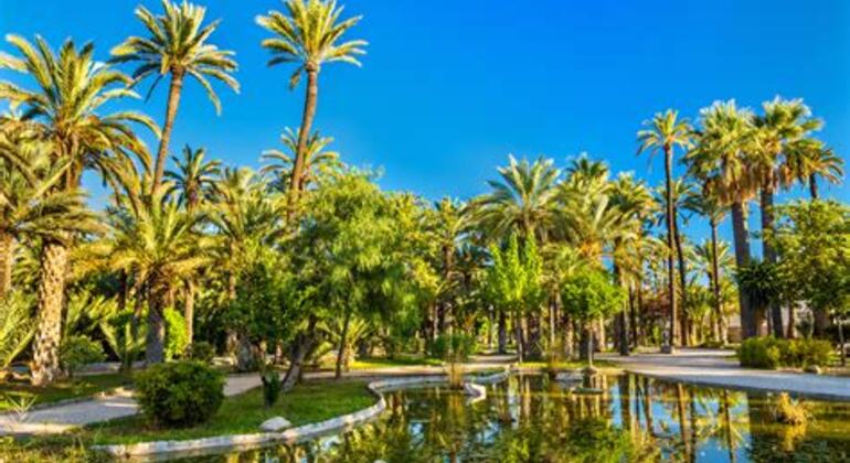 free-tour-elche-from-the-iberians-to-the-reconquest-es-2