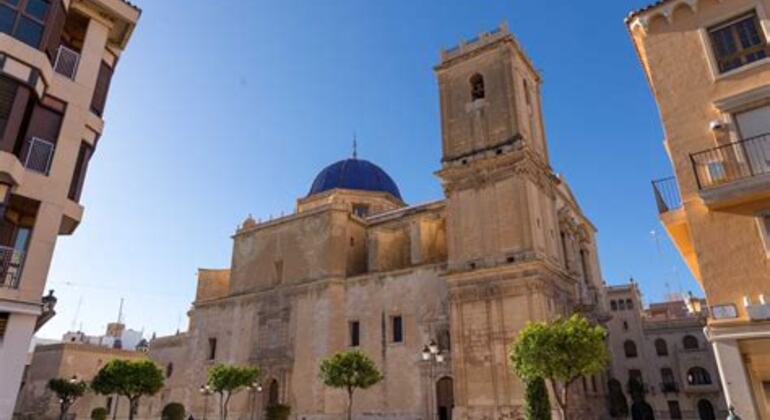 free-tour-elche-from-the-iberians-to-the-reconquest-es-3