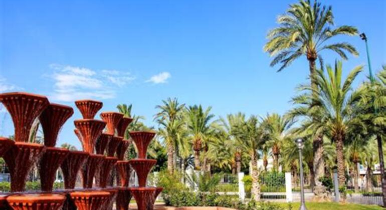 free-tour-elche-from-the-iberians-to-the-reconquest-es-4