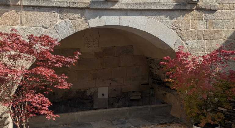 free-tour-general-lugo-the-best-and-most-en-1