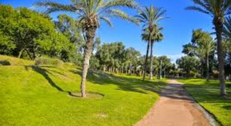 Agadir City Guided Free Walking Tour Morocco &mdash; #3