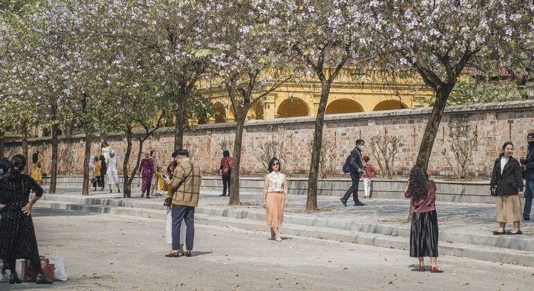 Hanoi Free Tour: 1,000 Year Strategic Soul & Citadel Entry Vietnam &mdash; #15