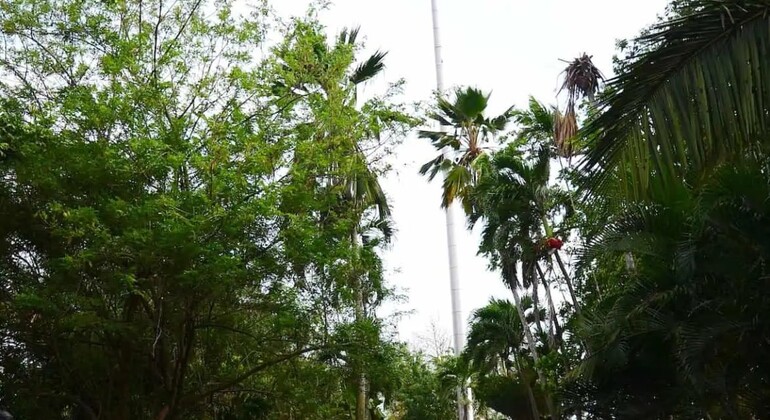 Cerro Ancón Free Tour: Staircase at the City's Highest Point Panama &mdash; #2