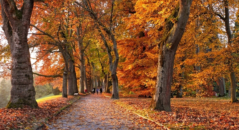 history-and-nature-walking-tour-through-the-prado-en-1