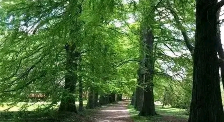 history-and-nature-walking-tour-through-the-prado-en-2