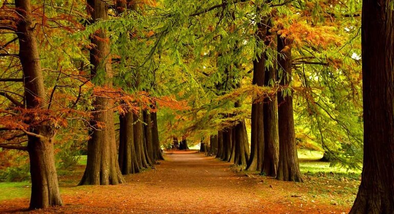 history-and-nature-walking-tour-through-the-prado-en-3