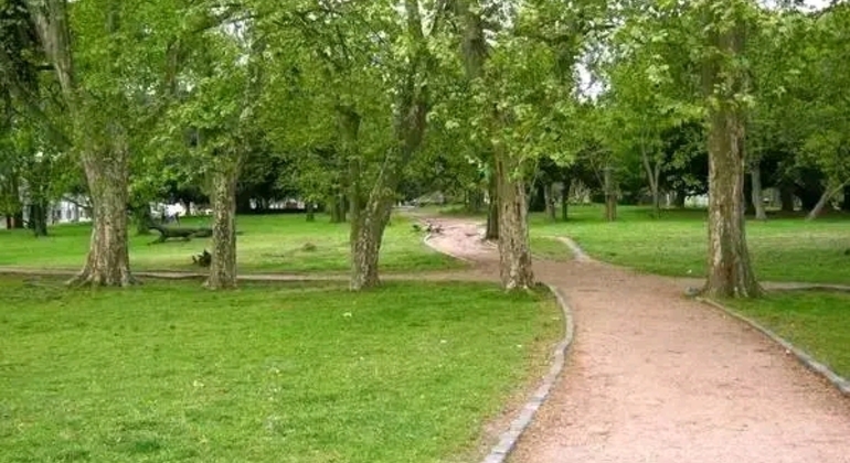 history-and-nature-walking-tour-through-the-prado-en-4