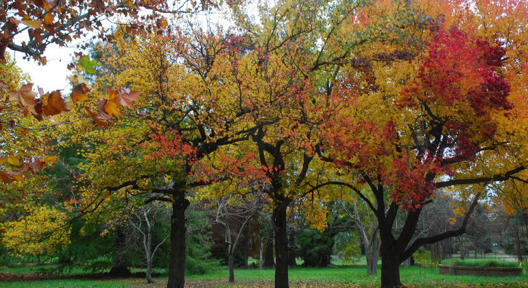 history-and-nature-walking-tour-through-the-prado-en-5