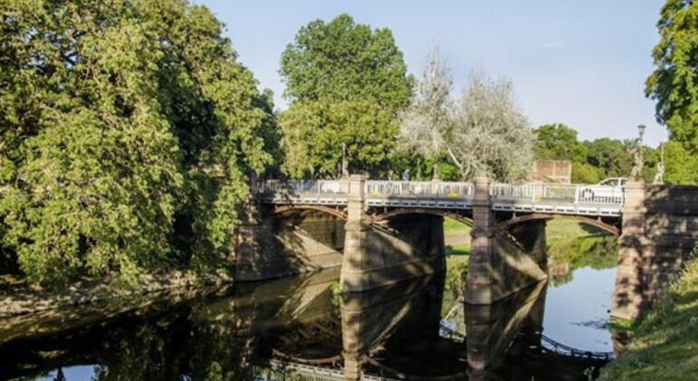 history-and-nature-walking-tour-through-the-prado-en-16