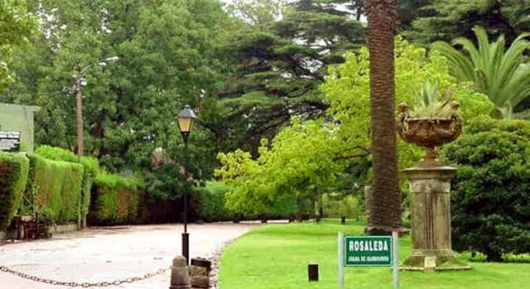 history-and-nature-walking-tour-through-the-prado-en-20